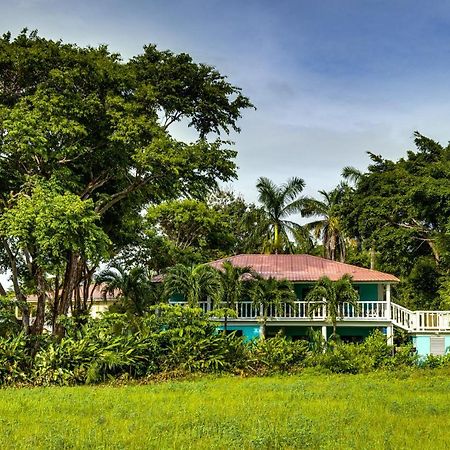 The Sea Glass Inn Placencia Εξωτερικό φωτογραφία