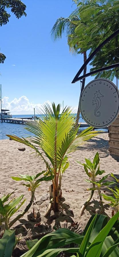 The Sea Glass Inn Placencia Εξωτερικό φωτογραφία
