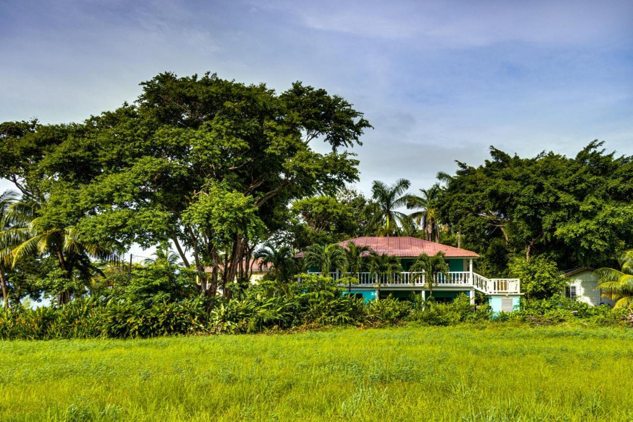 The Sea Glass Inn Placencia Εξωτερικό φωτογραφία