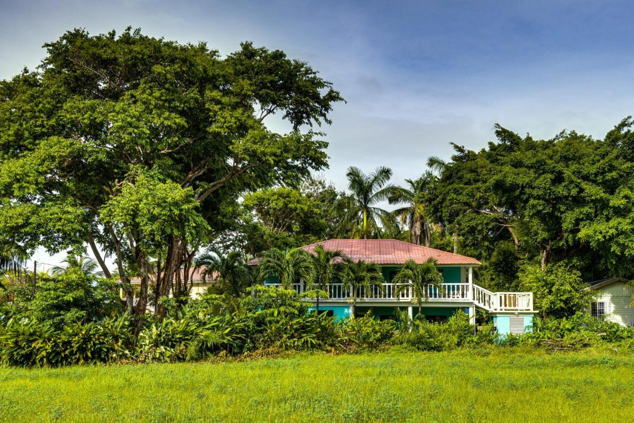 The Sea Glass Inn Placencia Εξωτερικό φωτογραφία